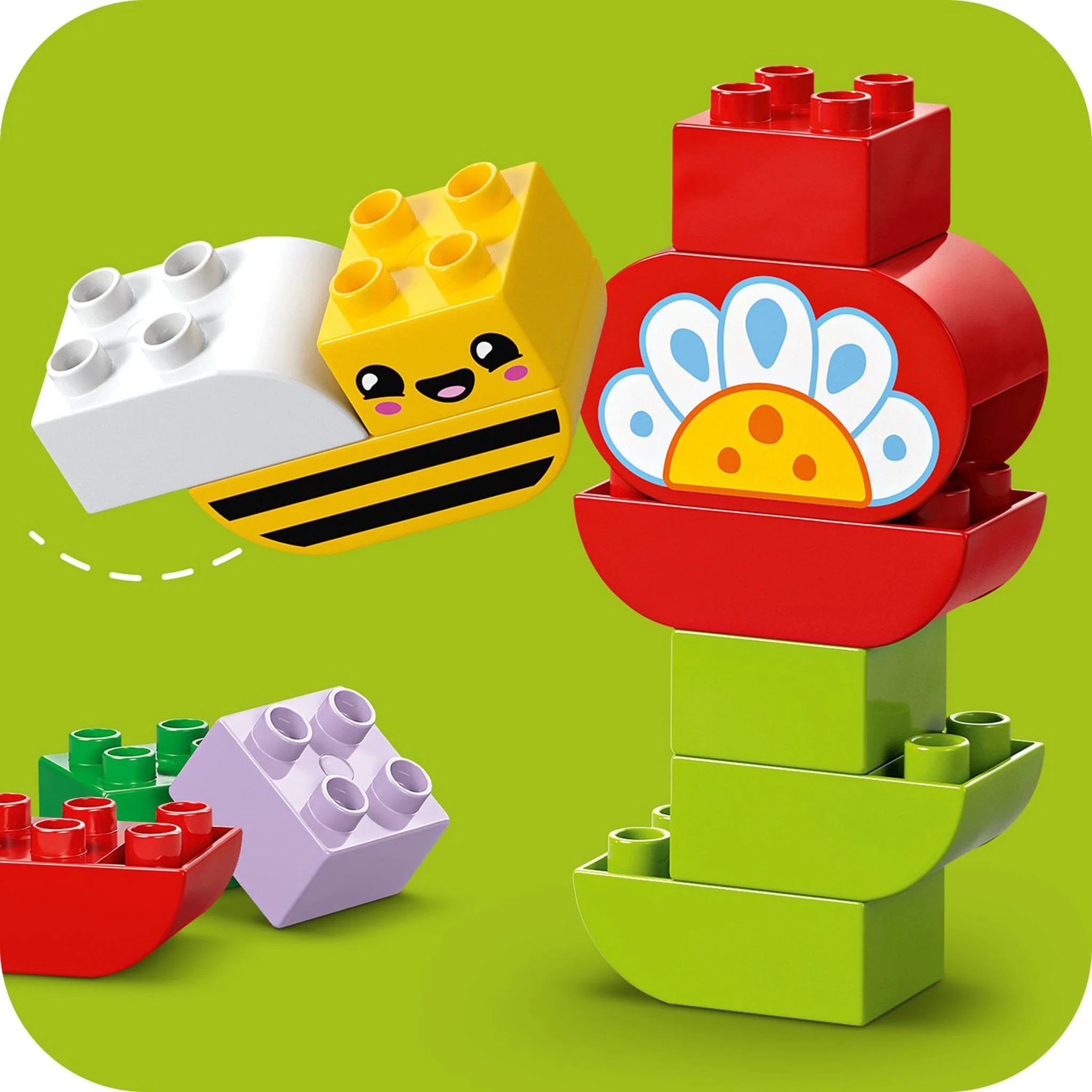 Image du produit 8